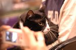 DSC_8500(670x455)