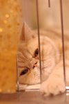 DSC_8514(455x670)
