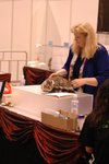 DSC_8549(455x670)