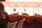 DSC_8557(670x455)