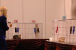 DSC_8562(670x455)