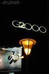 DSC_2972(399x600)