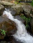 WaterFall_01(450x600)