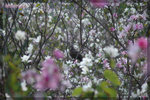 DSC_0060(1000x665)