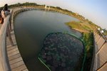 GC_0653