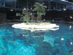 oceanpark_200666_17