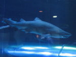 oceanpark_200666_18