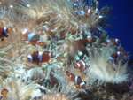 oceanpark_200666_20