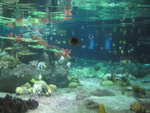 oceanpark_200666_23