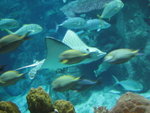 oceanpark_200666_24