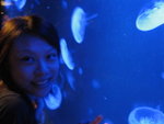 oceanpark_200666_25