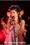 theprincesstheatre_2006527_22