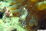 IMG_3807A1