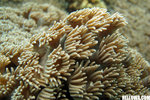 IMG_3812A1