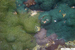 IMG_3823A1