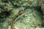 IMG_3829A1
