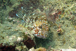 IMG_3863A1