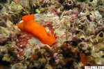 IMG_3875A1