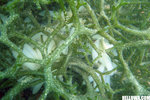 IMG_3881A1