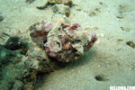 IMG_3895A1