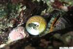 IMG_3907A1