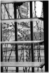 DSC_0668A