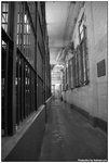 DSC_0675A