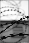 DSC_0717A