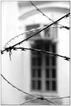 DSC_0718A