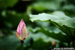 IMG_2560A2