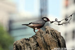 IMG_4846A1