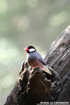 IMG_4885A1