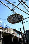 IMG_7737A
