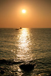 IMG_7833A