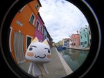 TORO-Venice_