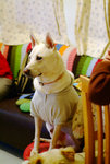 DSCF1449
