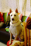 DSCF1451