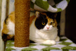 DSCF1461