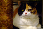 DSCF1464