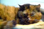 DSCF1471