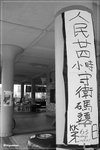 DPP_00051