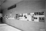 DPP_00056