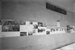 DPP_00057