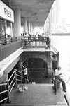 DPP_00059