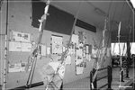 DPP_00066