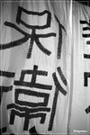 DPP_00070