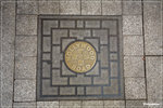 DPP_00113