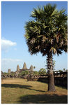 �d���] - ��� Angkor Wat - Siem Reap 