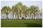 �h���D�a - ��� Orioles Singing in Ripples of Willows (Liulangwenying) - West Lake 