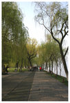 �h���D�a - ��� Orioles Singing in Ripples of Willows (Liulangwenying) - West Lake 